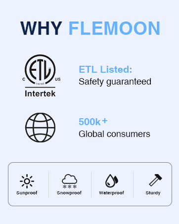 FLEMOON