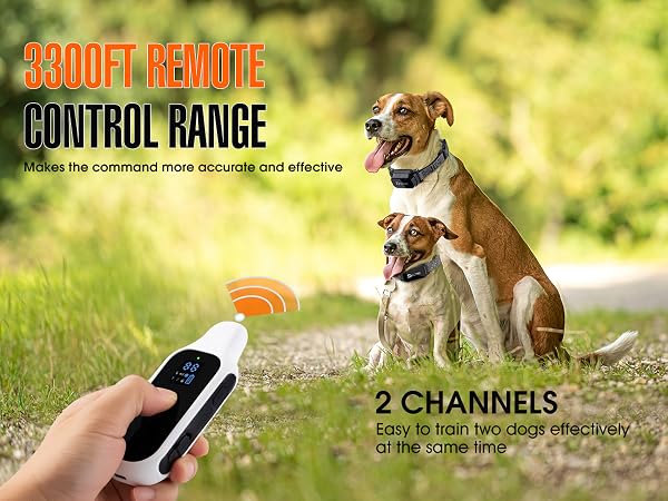 dog training collar with remote