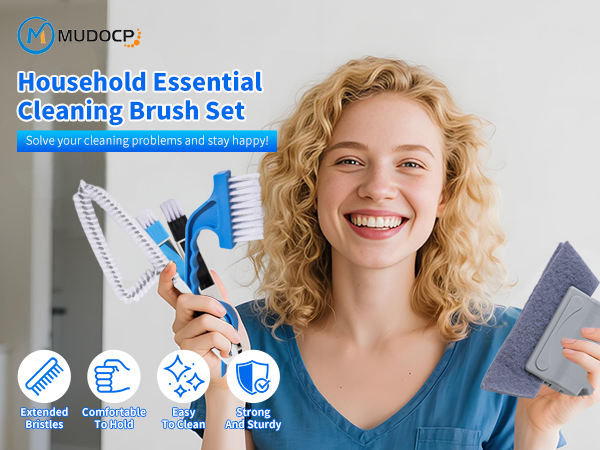 window cleaning brush