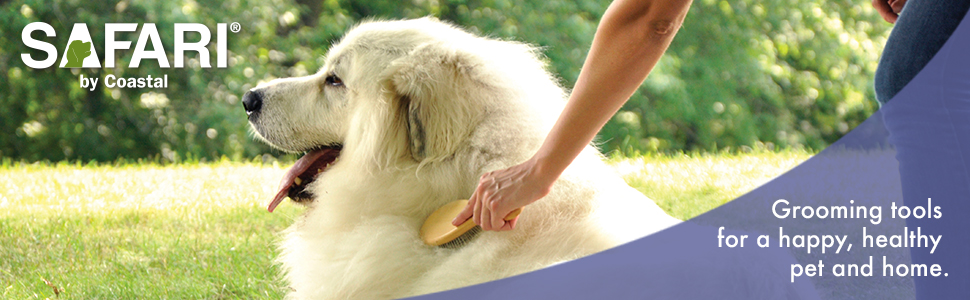 Coastal Pet, Safari Dog, Nail grooming