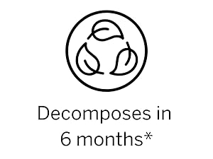 6 months