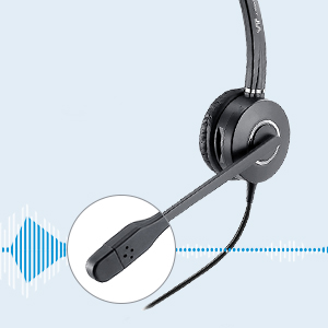Noise cancelling mic
