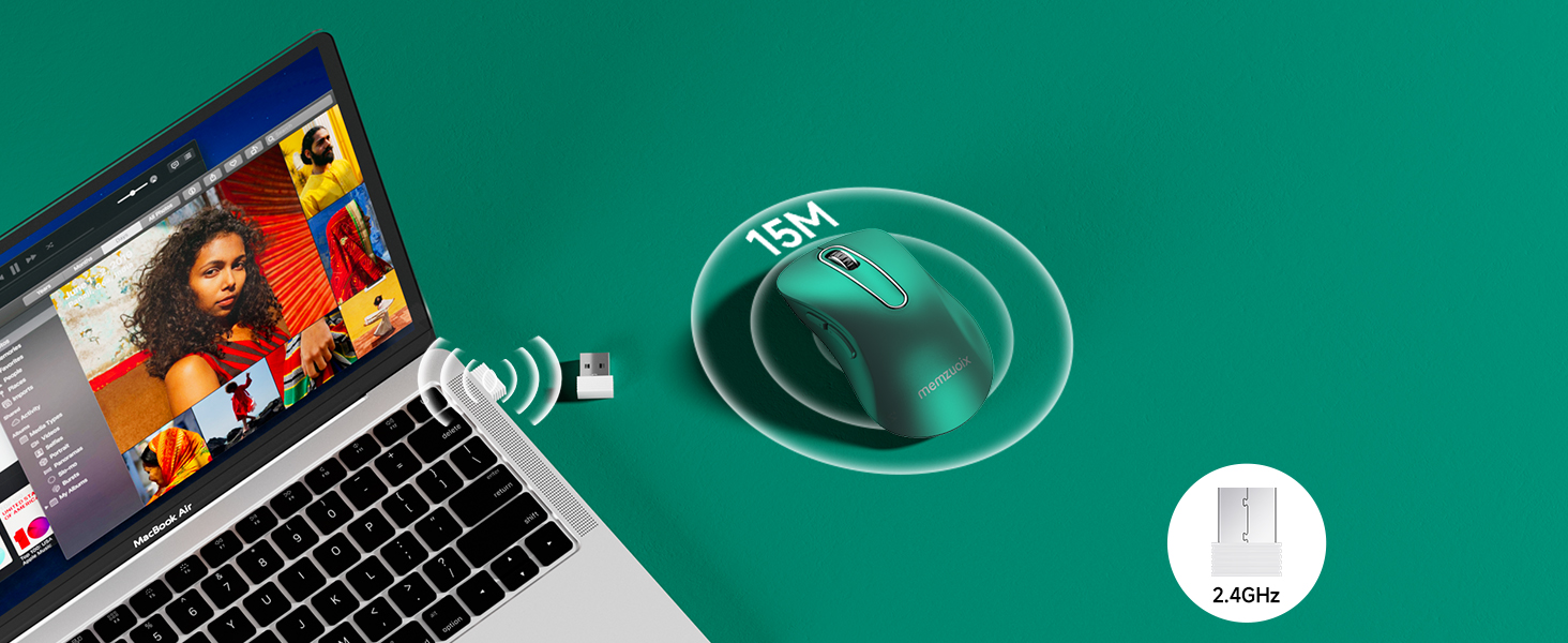mouse