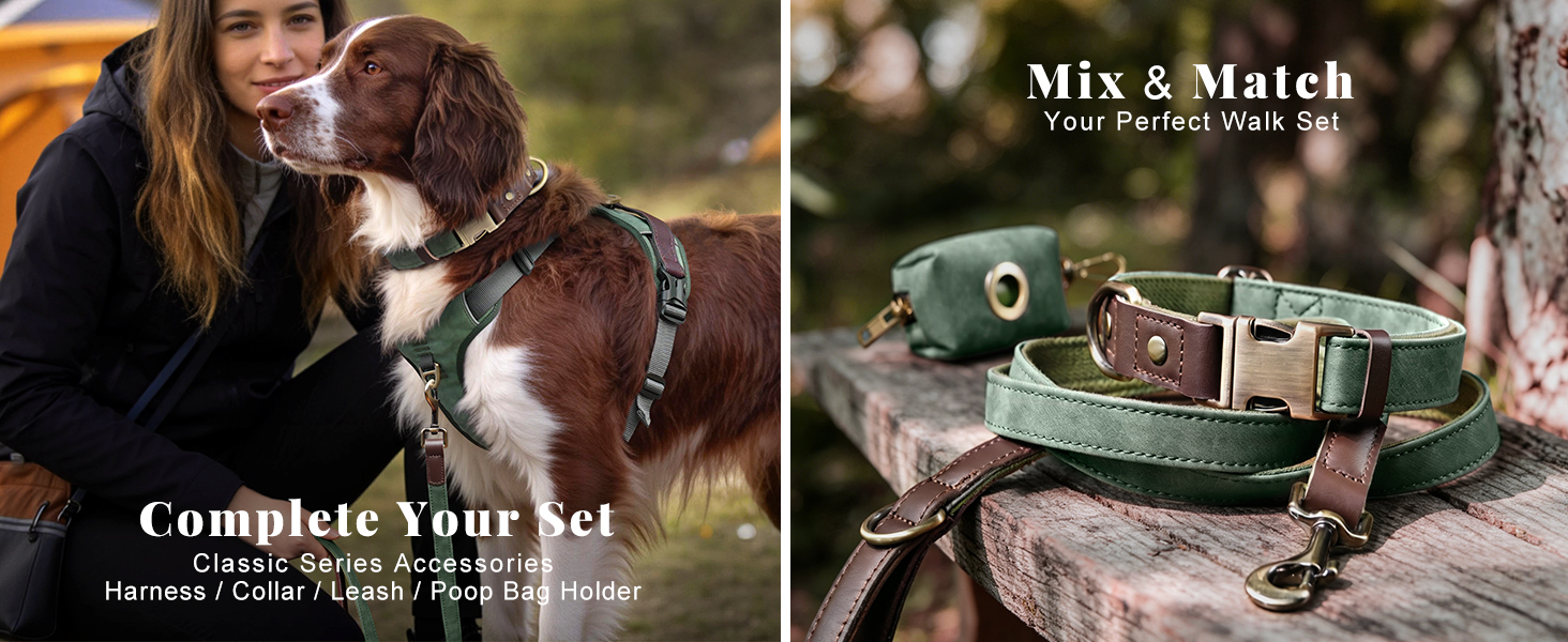 leather dog harness and leash set