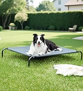 Elevated Dog Bed