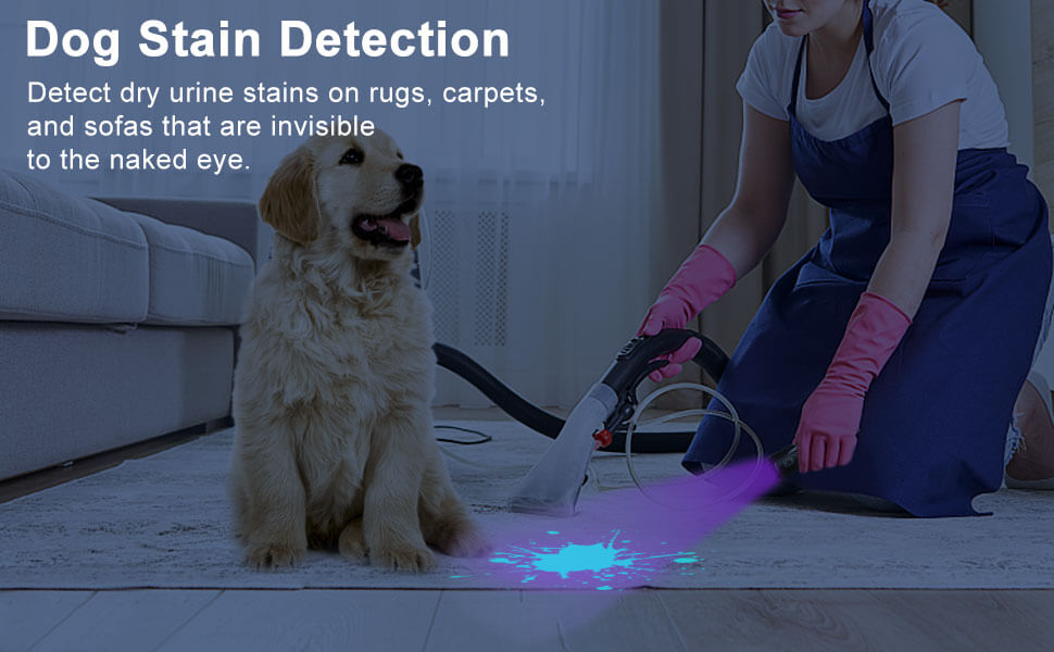 uv flashlight