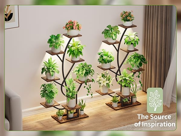 plant stand indoor
