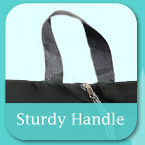 shoe bags