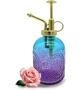 VKSG Glass Plant Mister Spray Bottle, 350ML Vintage Plant Spritzer with Top Pump Watering Can for...