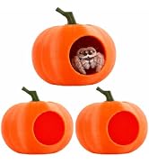 Lanxitown 3Pcs Pumpkin Jumping Spider Hide Jumping Spider Enclosure Accessories Magnetic Mounting...