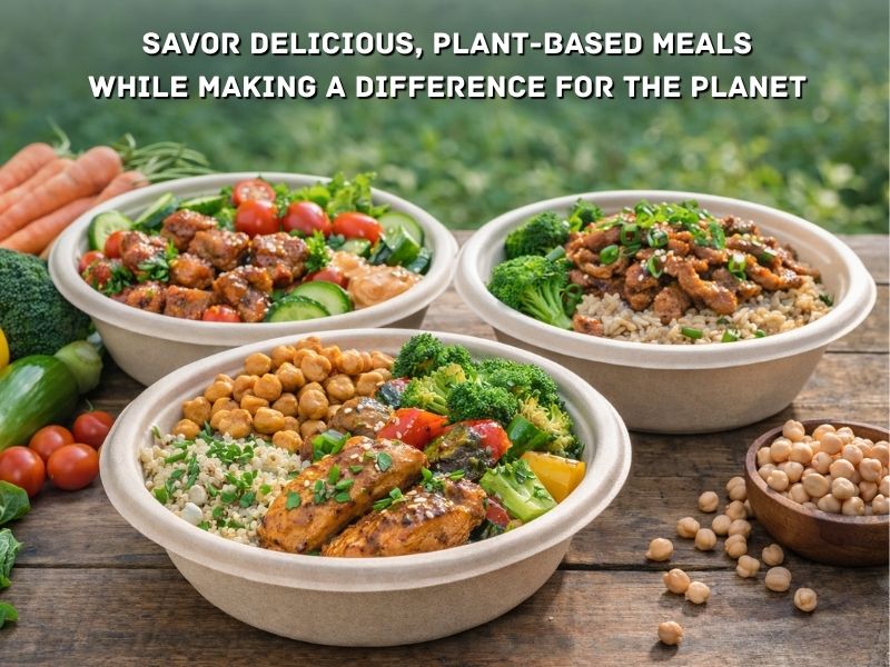 disposable bowls, bagasse bowls
