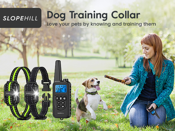 dog collar