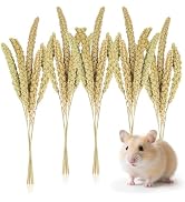 Sukh Hamster Millet Sprays - 30Pcs Natural Millets 12.6In Hamster Bedding Decor Cages and Habitat...