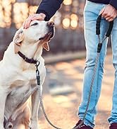 rope dog leash
