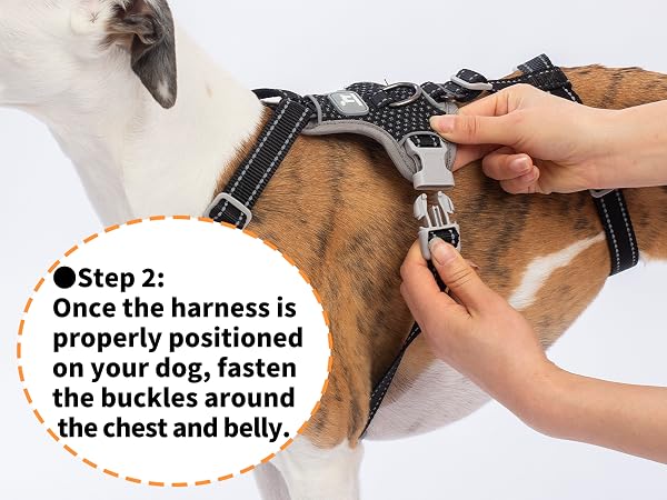 escape proof dog harness