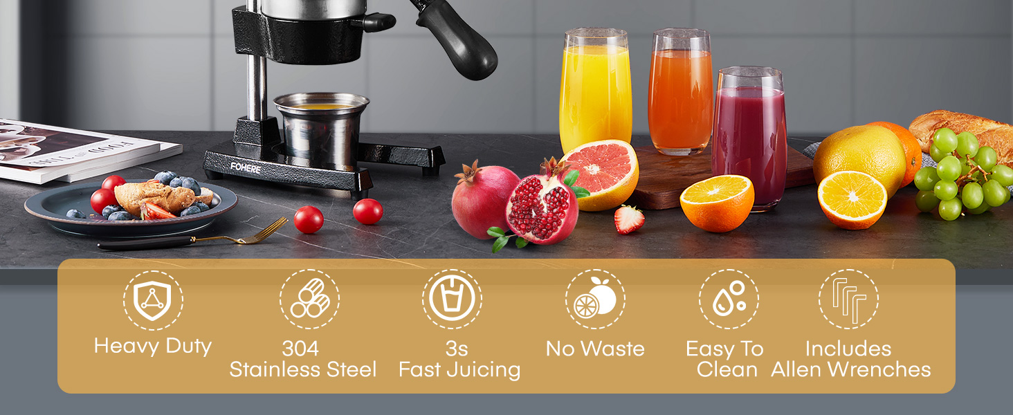 manual juicer