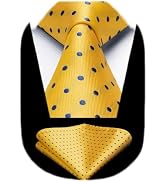 HISDERN Polka Dot Ties for Men Classic Silk Ties and Pocket Square Formal Business Necktie Handke...