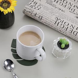 monstera coasters