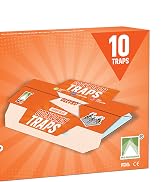 Insect Fly Traps Refills