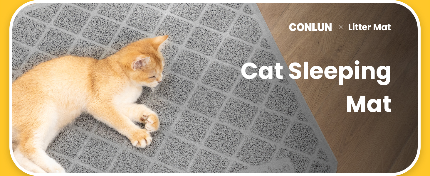 cat litter mat