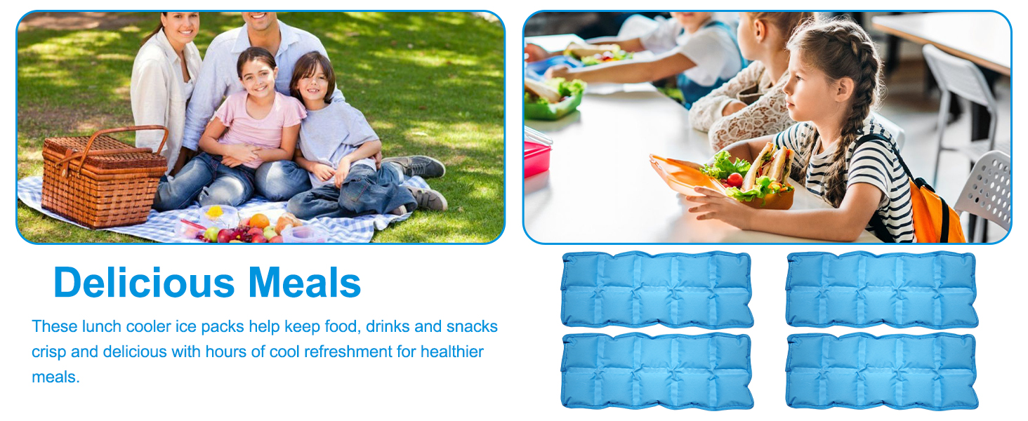 4 Pack Slim Ice Packs