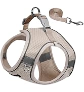 AIITLE Dog Harness and Leash Set, No Pull Step in Puppy Harness with Super Breathable Mesh, Refle...