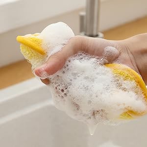 kitchen sponges