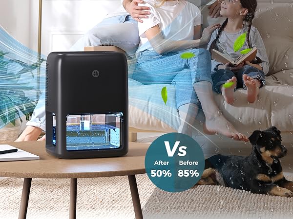Dehumidifier