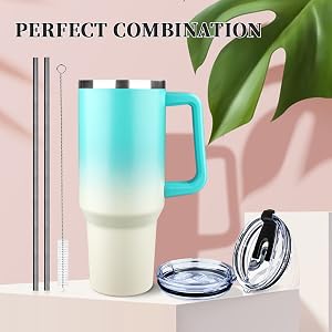 Insulated Tumbler with Lid and Straw,
