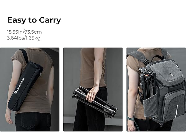 Text reads 'Easy to Carry' and '12.55in/93.5cm 3.64in/9.65kg'. Series of images demonstrating portability of a black device with various carrying and handling positions.