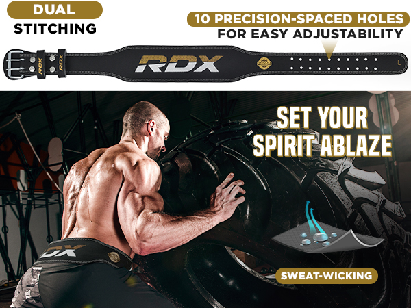 RDX Weight Lifting Belt