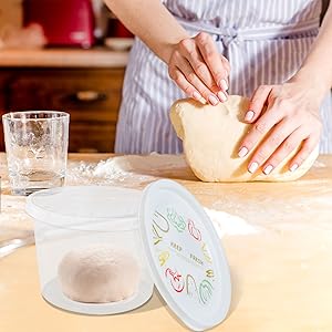 Pizza Dough Proofing Box