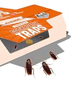 Insect Fly Traps Refills