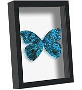 Picrit Shadow Box Frame 11x14, Display Case Box with High Definition Real Glass and Black Back fo...