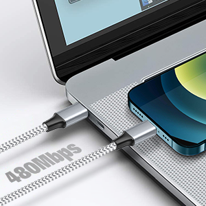 12 inch usb c to lightning cable