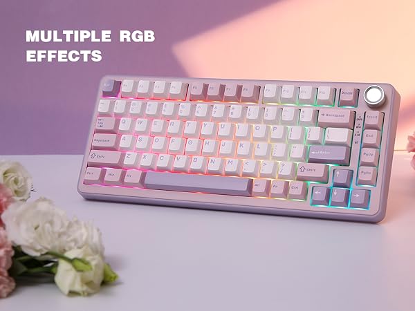 B75 PRO