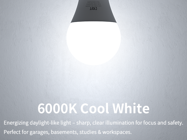 6000