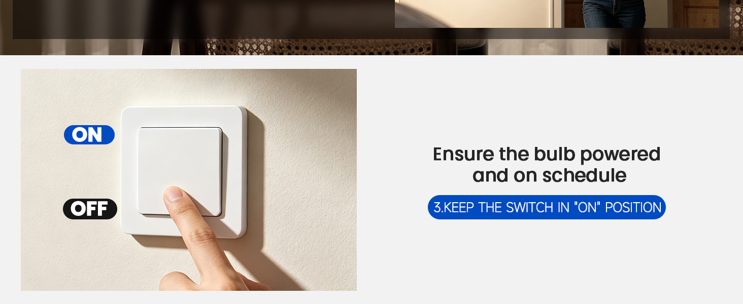 timer bulbs