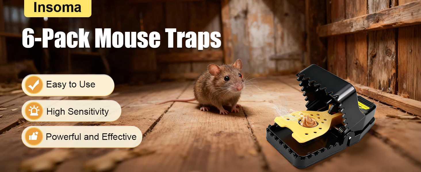 mouse trap-1