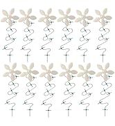 ?DrainWig Shower Drain Hair Catcher – Disposable White Flower (12-Pack) – No-Touch Hair Removal f...