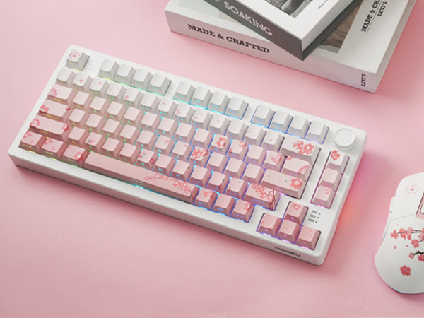 75% keyboard and mouse combo