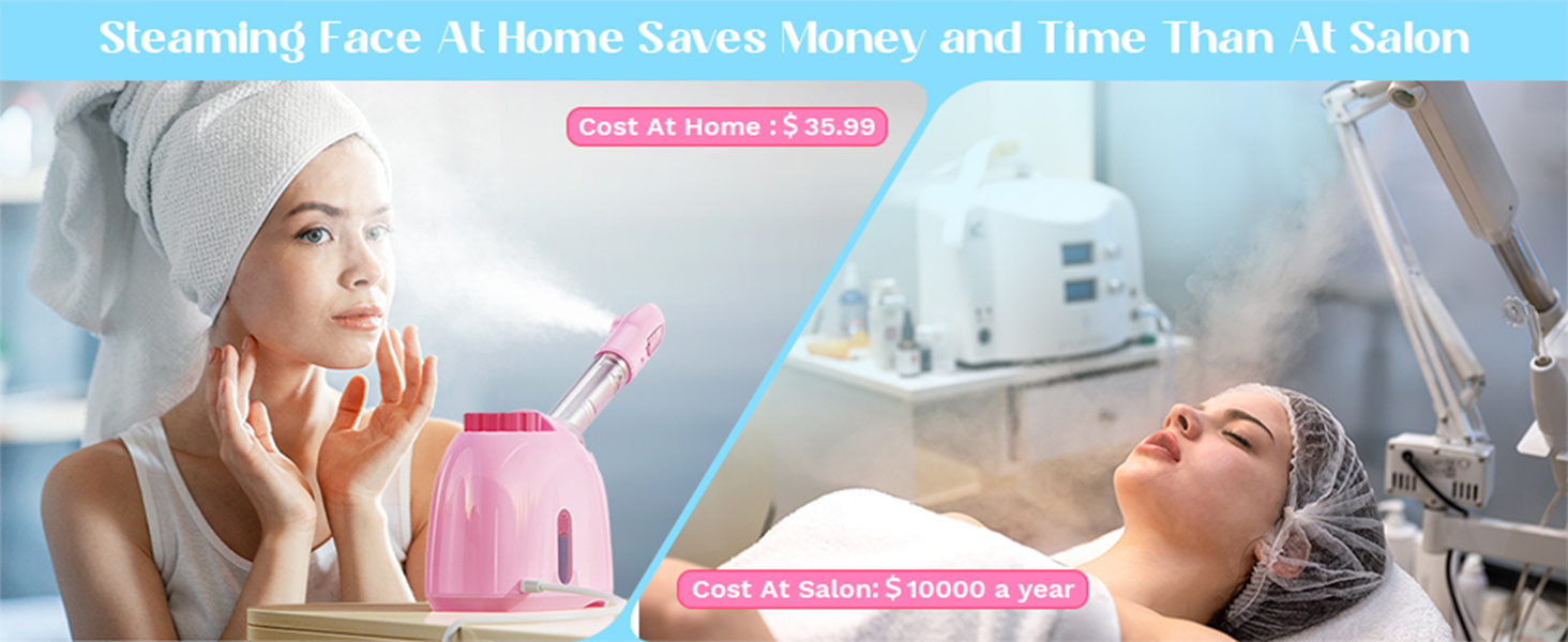 face steamer