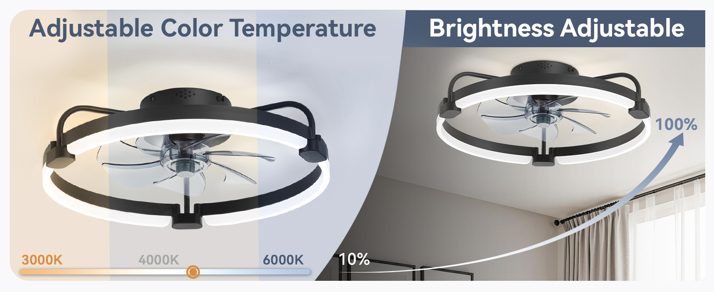 Living room Ceiling Fan