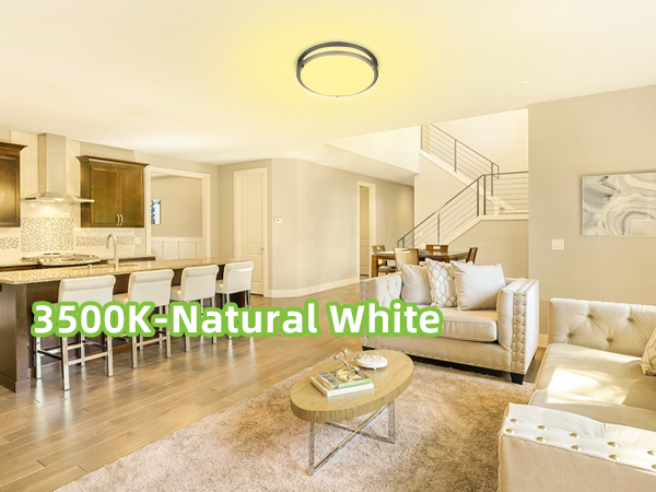 Flush Mount LED Ceiling Light Fixture