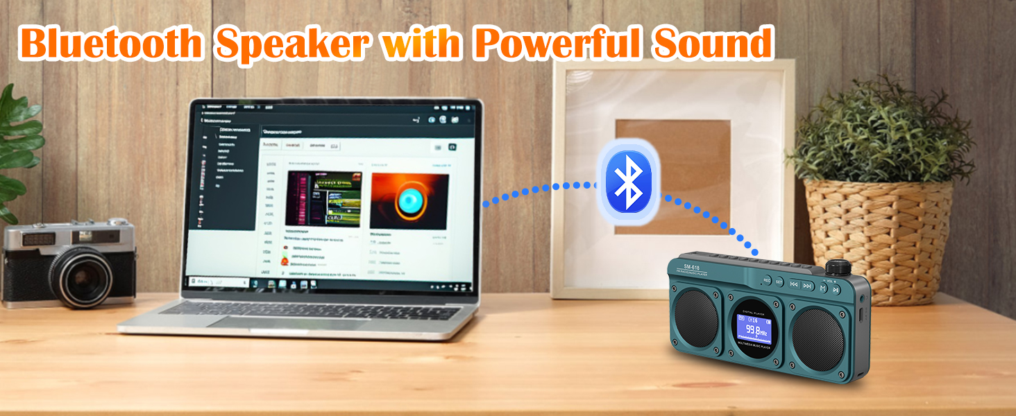 FM Bluetooth Speaker