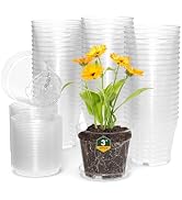 WSMKSZ 3 Inch Clear Nursery Pots, 60 Pack Highly Transparent Plastic Seedling Starter Planters wi...