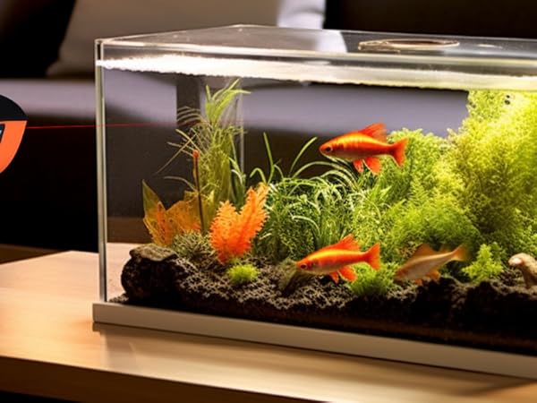 infrared thermometer cooking