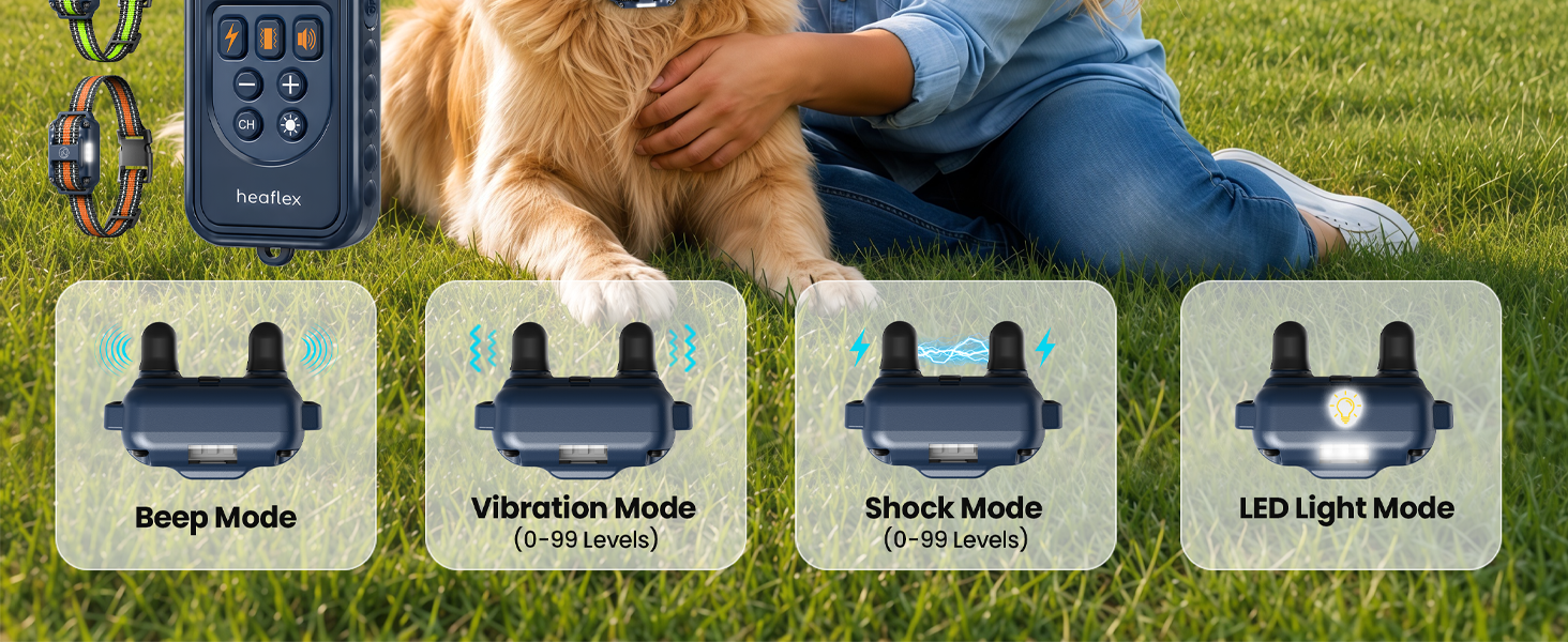 Dog Training Collar