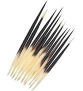 10Pcs Porcupine Quills Hair Stick Indian Crafts Accessories Fishing Buoy DIY 6 7 Sewing Project Kits
