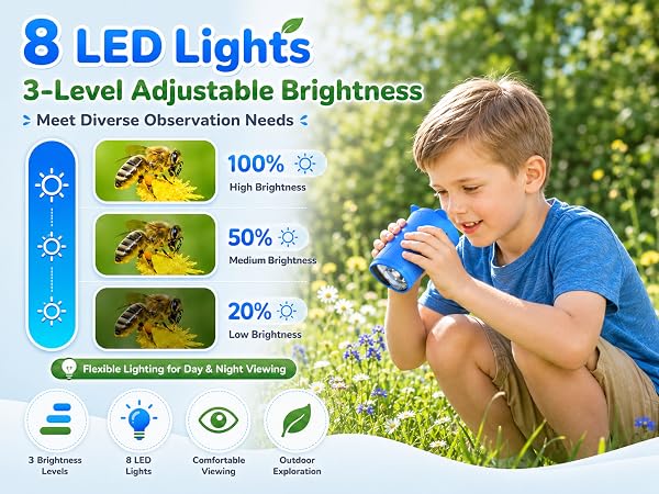 8 LED Lights